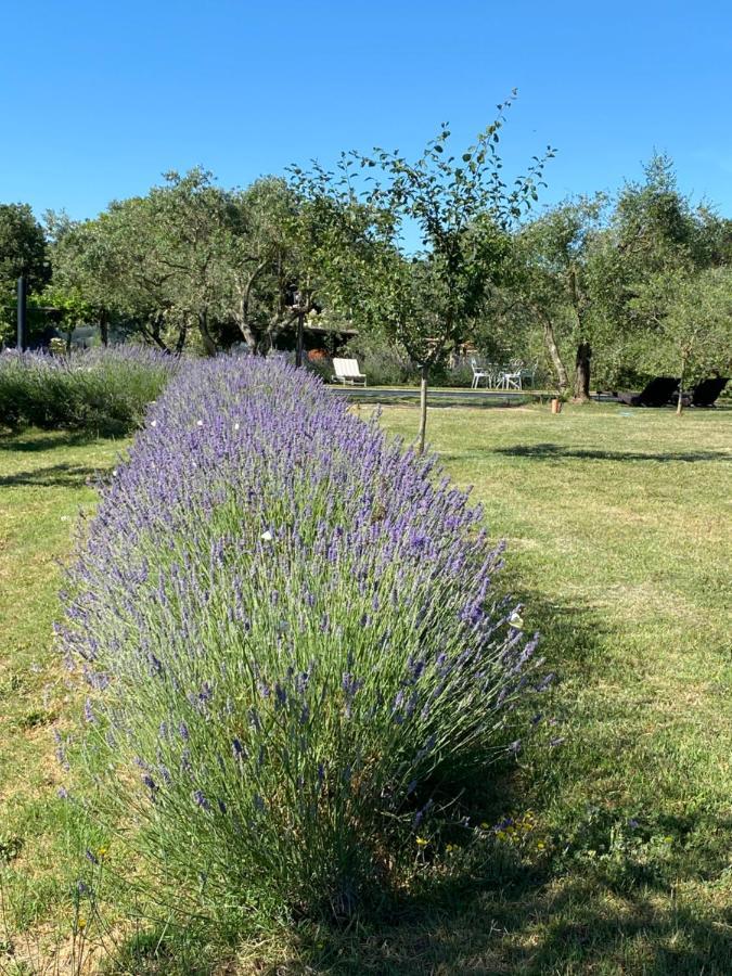 Agriturismo La Cervaiola Piccola Dimora Di Campagna Porano Luaran gambar