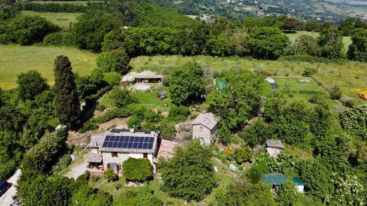 Agriturismo La Cervaiola Piccola Dimora Di Campagna Porano Luaran gambar