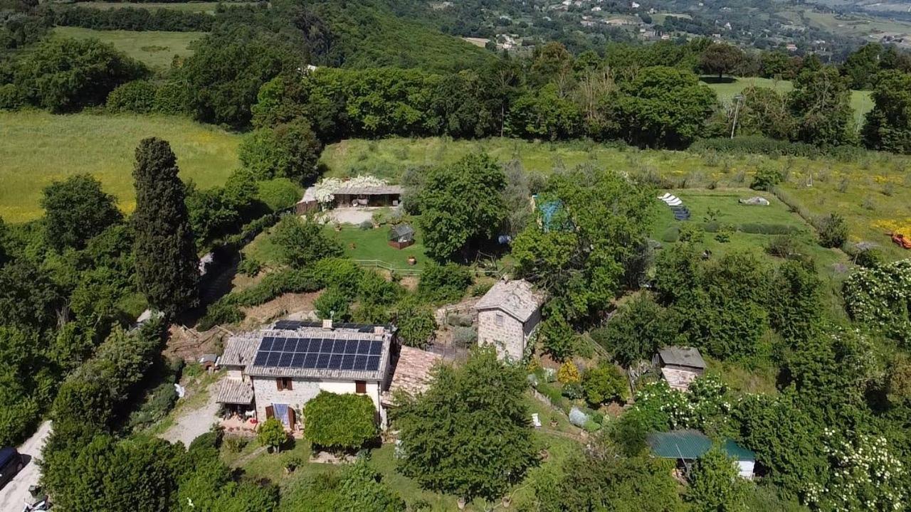 Agriturismo La Cervaiola Piccola Dimora Di Campagna Porano Luaran gambar