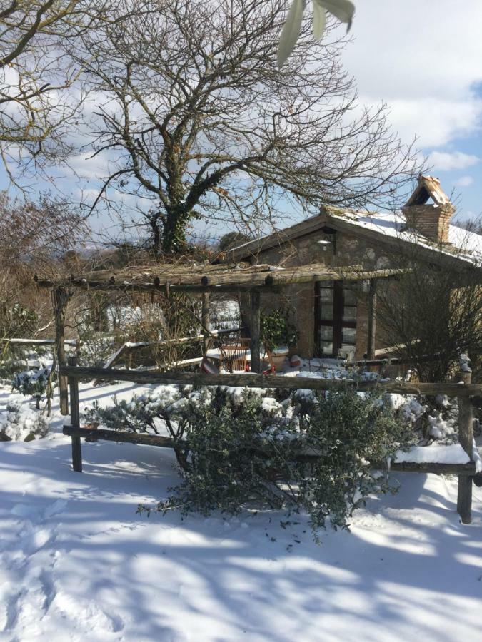 Agriturismo La Cervaiola Piccola Dimora Di Campagna Porano Luaran gambar